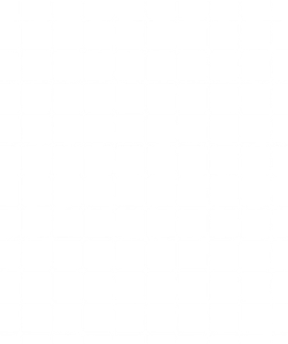 mesh